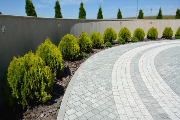 Best Custom Driveway Pavers  in Bismarck, ND
